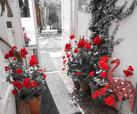 erj boutique back yard
